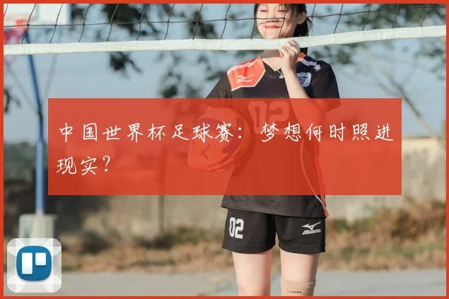 中国世界杯足球赛：梦想何时照进现实？
