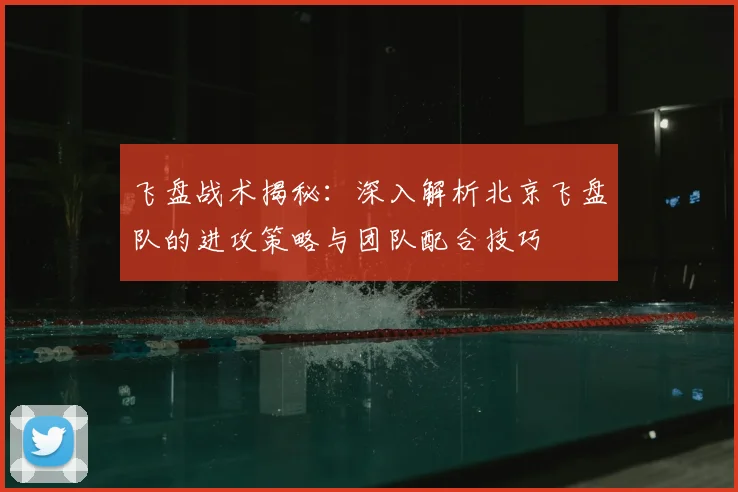 飞盘战术揭秘：深入解析北京飞盘队的进攻策略与团队配合技巧