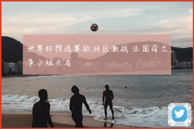 世界杯预选赛欧洲区激战 法国荷兰争小组头名