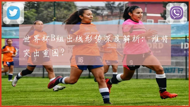 世界杯B组出线形势深度解析:谁将突出重围?