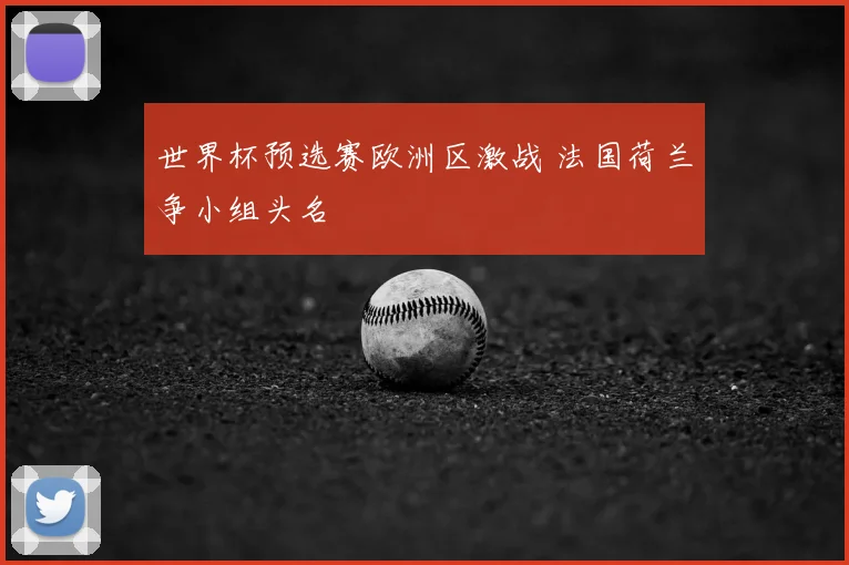 世界杯预选赛欧洲区激战 法国荷兰争小组头名