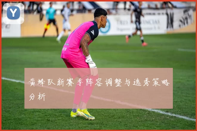 黄蜂队新赛季阵容调整与选秀策略分析