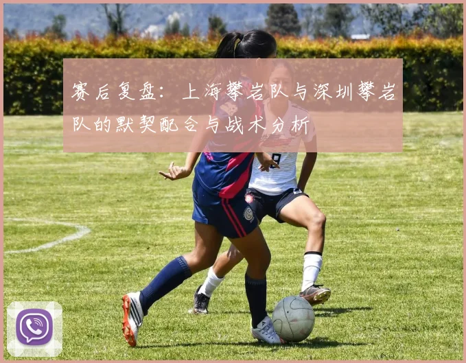 赛后复盘:上海攀岩队与深圳攀岩队的默契配合与战术分析