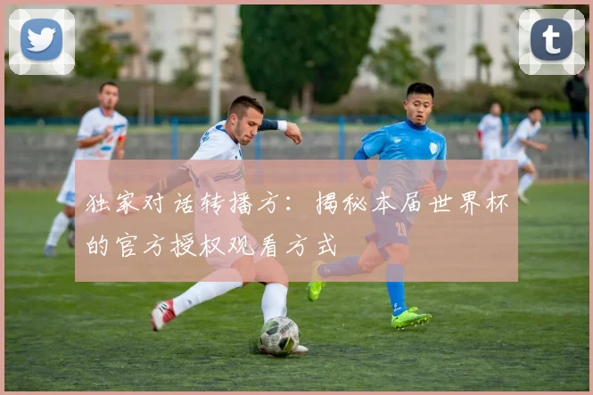 独家对话转播方:揭秘本届世界杯的官方授权观看方式