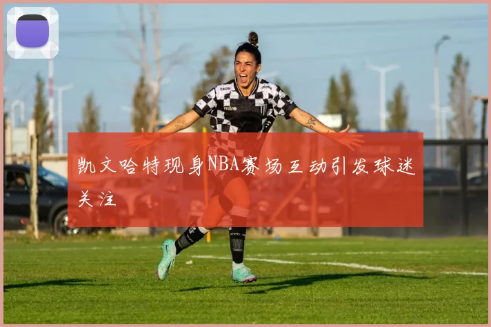凯文哈特现身NBA赛场互动引发球迷关注