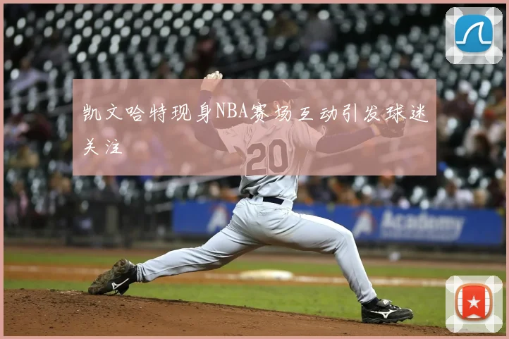 凯文哈特现身NBA赛场互动引发球迷关注