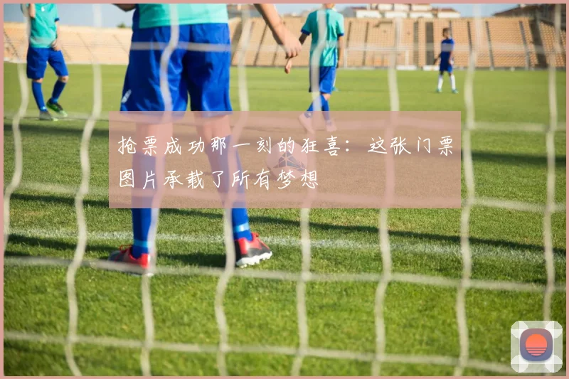 抢票成功那一刻的狂喜:这张门票图片承载了所有梦想