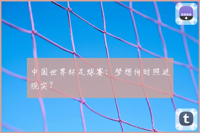中国世界杯足球赛:梦想何时照进现实?