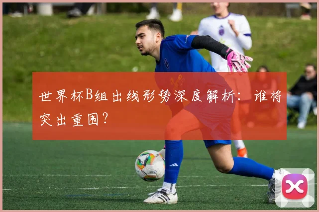 世界杯B组出线形势深度解析:谁将突出重围?