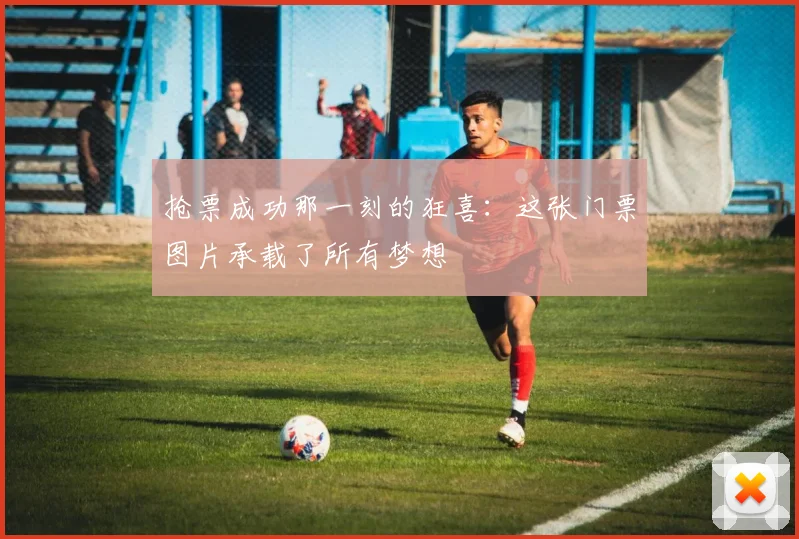抢票成功那一刻的狂喜:这张门票图片承载了所有梦想