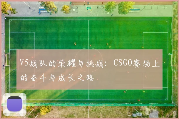 V5战队的荣耀与挑战：CSGO赛场上的奋斗与成长之路