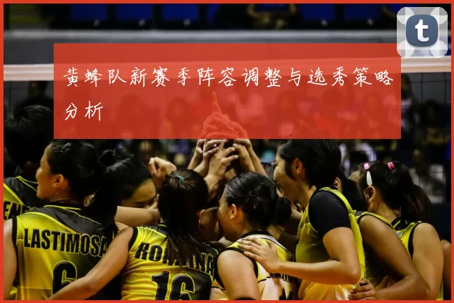 黄蜂队新赛季阵容调整与选秀策略分析