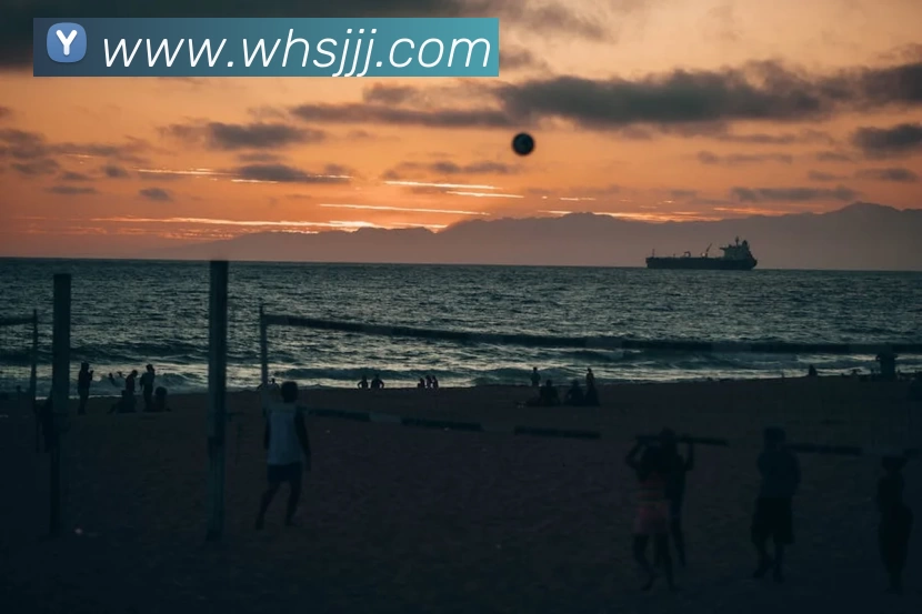 华体会体育平台生态图