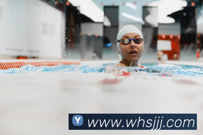 App Interface Preview