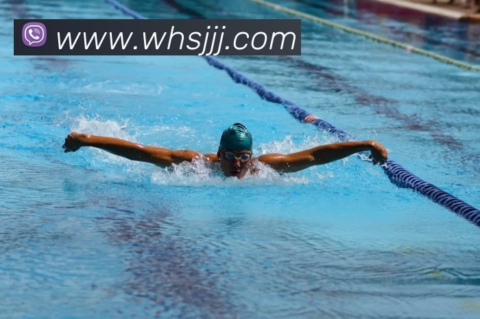 华体会体育全站App